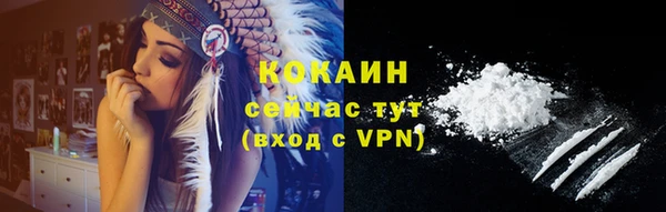 тгк Абаза