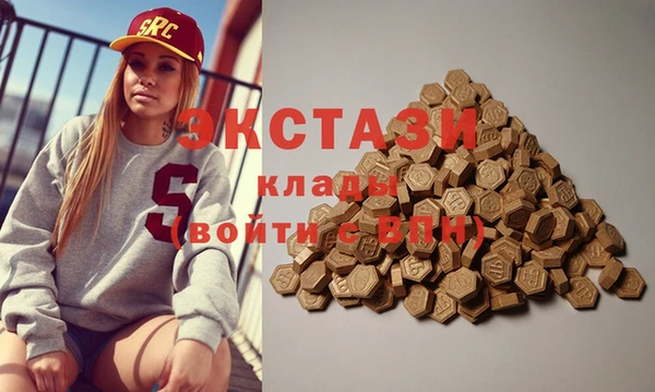 тгк Абаза
