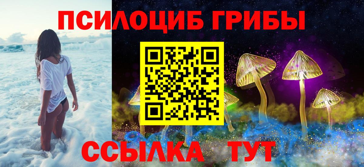 продажа наркотиков  Вход с VPN  Ржев  Псилоцибиновые грибы Psilocybine cubensis 